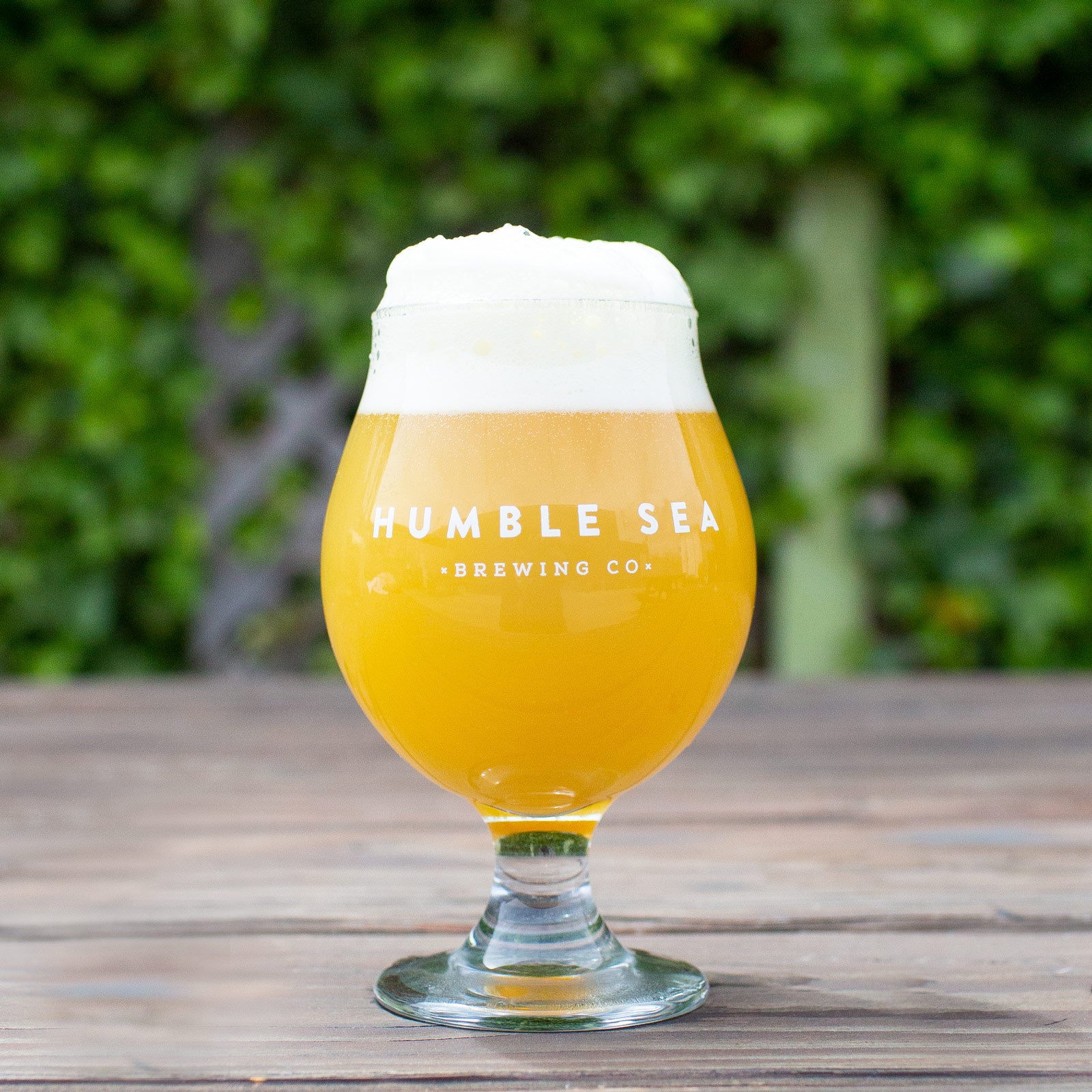 (13oz) Humble Sea Tulip glass
