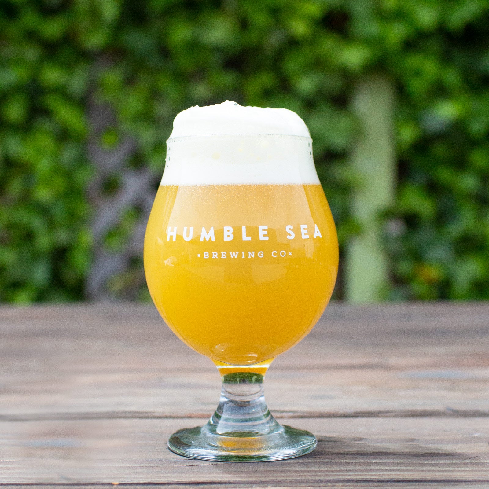 Humble Sea x Revelry - The Rolling Kit - Smell Proof Kit – Humble Sea  Brewing Co.